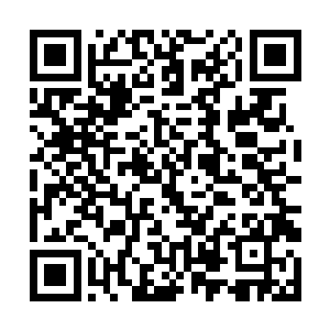 抡起就朝这个如同一只穿山甲一样的卷土者狠狠砸去二维码生成