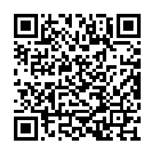护送胡幕前来的侍卫也都一个个把腰刀亮了出来二维码生成