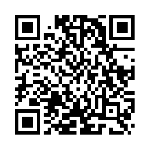 报出了一个叶安全大概调查到的数量二维码生成