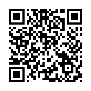 报名参赛的武者就已经达到了两千五百人二维码生成