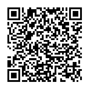 报国寺元慈法师他们没有喊住自己是因为他们没有看出来浩浩的独特二维码生成
