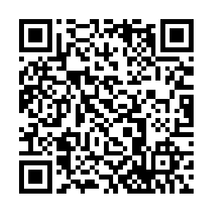 抬了一下手示意身旁与身后的人全都留在原地等着后二维码生成