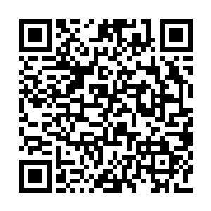 抬头就看见了丁长生提着大包小包的东西进来了二维码生成