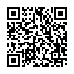 抬头望去只能看到密集交叉的树枝和树叶二维码生成