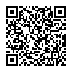 抬手便与白色月牙悬在半空中的手掌击打在了一块儿二维码生成