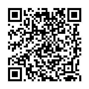 抬手在清脆的碧叶间摘下一枚紫色饱满的大葡萄二维码生成