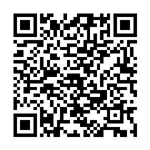 抬起头看着面前这个比他还要小一点的超级大导演二维码生成