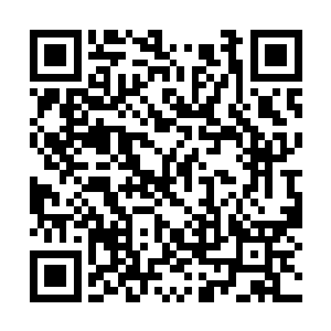 抱了一直趴在装着骨灰包袱的充气塑料袋上的小狗二维码生成