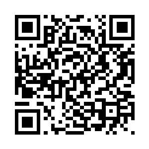 抽出新芽的树木令人觉着无比的宁静二维码生成