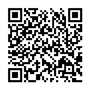 担任金乌城廷尉署廷尉的是怀远堂张家的一个老人二维码生成