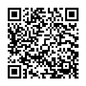 担心大刚看见自己这些人训练的方式太过吓人而产生惊奇二维码生成