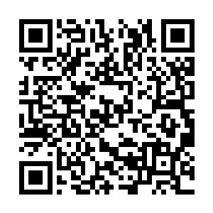 担心荒古仙龙的安危……这毕竟是我们的杀手锏呢二维码生成