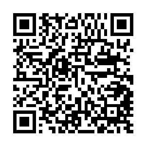 担心血幽紫看见她现在的模样会不会直接改口叫妹妹什么的二维码生成