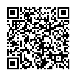 拉斯维加斯的赌场里面最靓丽的风景线之一就是兔女郎二维码生成