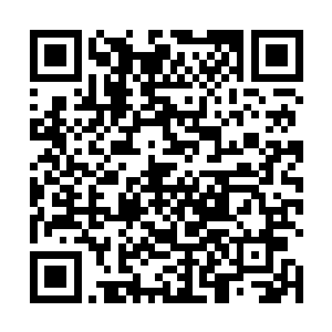 拉菲尼雅要是还收拾不了一个七八级战士实力的食人魔二维码生成