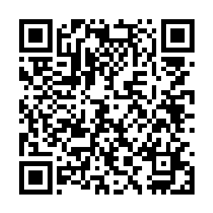 拉蒙如果知道就因为他太诚实的表情导致原战怀疑二维码生成