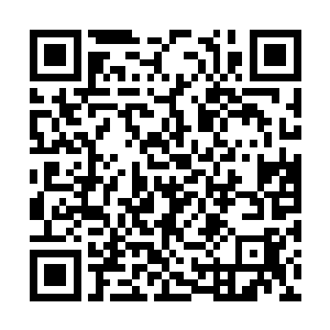 拉达把她从洪涛那里听来的只言片语说给卡洛尔听二维码生成