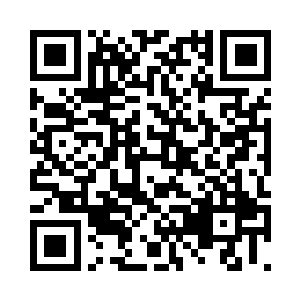 拍卖人员是从外界请来的专业拍卖师二维码生成