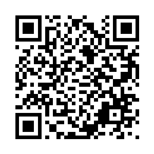 拍卖会的现场跟我以前在电视里见到的差不多二维码生成