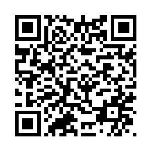 拍卖会的规矩江老板应该说过了吧二维码生成