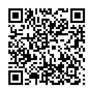 拒已经几乎将全部计算资源都交出来列入计算阵列之中二维码生成