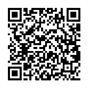 拔高的界限应该是与试炼者中等级最高的人持平二维码生成