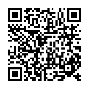 招惹不必要的麻烦…索性将所有事情都细细捋一遍二维码生成