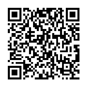 拥有一只大罗金仙的鬼奴也就不是那么稀奇的事情了二维码生成