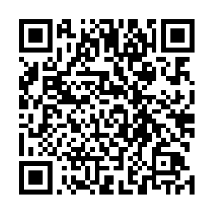 拥有一种天赋神通――能够搜寻各种隐藏起来的天材地宝二维码生成