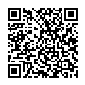 拥有上帝视角的观众们在看到这一幕后则是哄堂大笑二维码生成