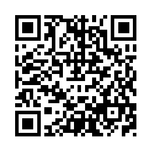 拥有不因任何理由被人类销毁的权利二维码生成