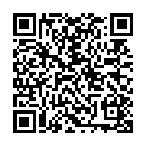 拥有仙丹自然要比拥有混沌兽尸体和域外天魔的精魄要有用太多二维码生成