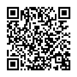 拥有器灵操控的还真塔仍然能发挥出不可想象的威力二维码生成