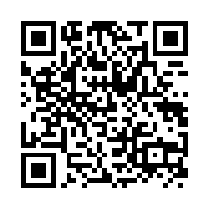 拥有玄蝉王翼和凤凰之翼融合而成的翅膀二维码生成