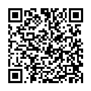 拥有着极高防御力的福尔斯甚至可以单挑五星的存在二维码生成