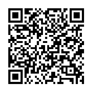 拥有至尊级别的妖宠虽然能在短时间内得到权势和力量二维码生成