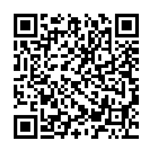 拥有远超同阶的战力以及各种不可思议的天赋能力二维码生成