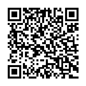 拳王却是将自己的晶脑和地行神龙的主控晶脑接驳到了一起二维码生成