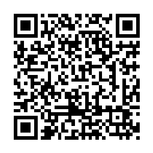 拳王阿龙只好接受了自己身后的经纪团队的建议二维码生成