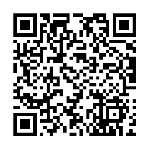 拿了些之前储备起来的一些带着香味的有些许药性草和花出来二维码生成