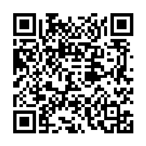 拿出了一袋足够分量的晶石丢给了这些抱着孩子的父母二维码生成