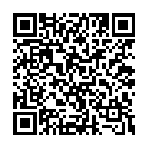 拿到了自己十次奥斯卡提名之中的第一座小金人二维码生成