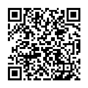 拿手轻轻地拍着不断颤抖的战马腿柔声对龙阳生道二维码生成