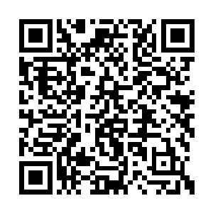 拿着一把尺子贴着奥利维亚的脚丫子仔细量了量二维码生成