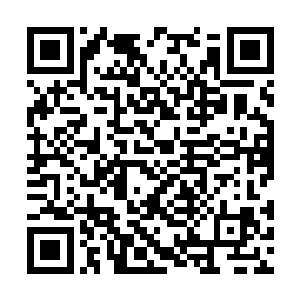 拿着一根柳条便要抽一个年幼甚至还跟瘦弱的少女二维码生成