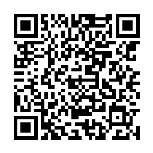 拿着单子开车每家每户去派送自家酿制的酒和糍粑二维码生成