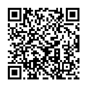 拿着手机的叶惟看着老爸老妈在那高兴得像个孩子二维码生成