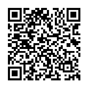 拿被地书融入的地面却忽然好想化为了沼泽一样二维码生成