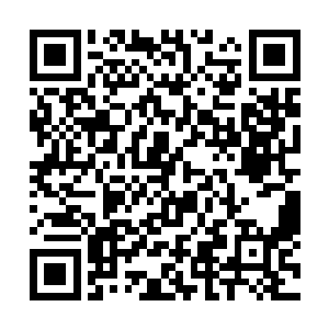 拿过去每支加两个金币倒手就能稳稳净赚24个金币二维码生成