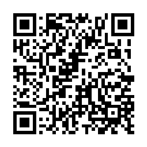 指不定到时候还能带他一起到西荆皇宫里去瞧瞧呢二维码生成